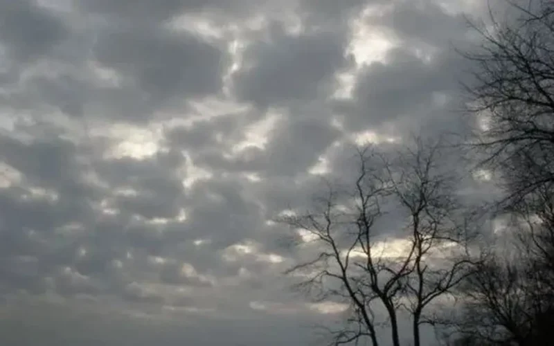 توقعات الطقس غدًا حد العظمى بالقاهرة 20 درجة